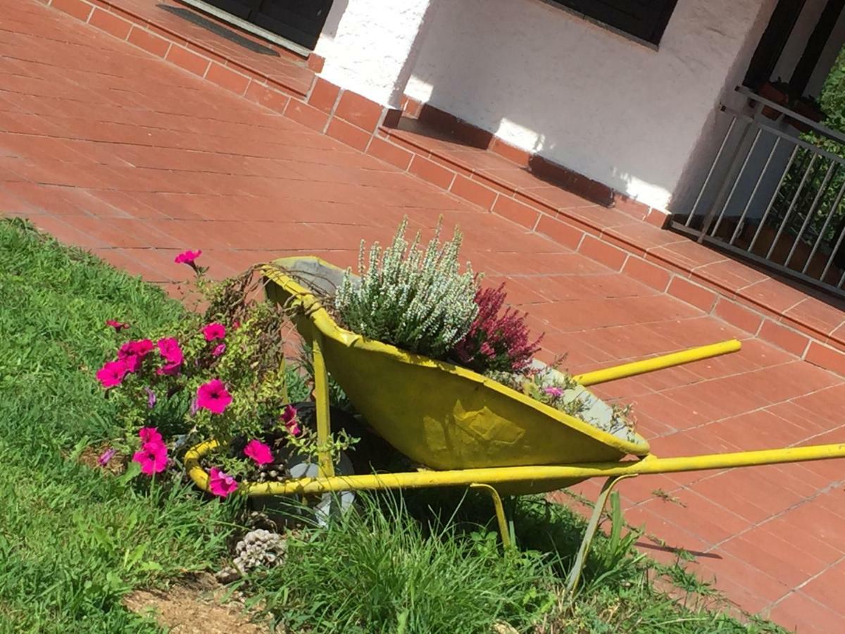 Progetto Vacanze Invorio Inferiore Dış mekan fotoğraf